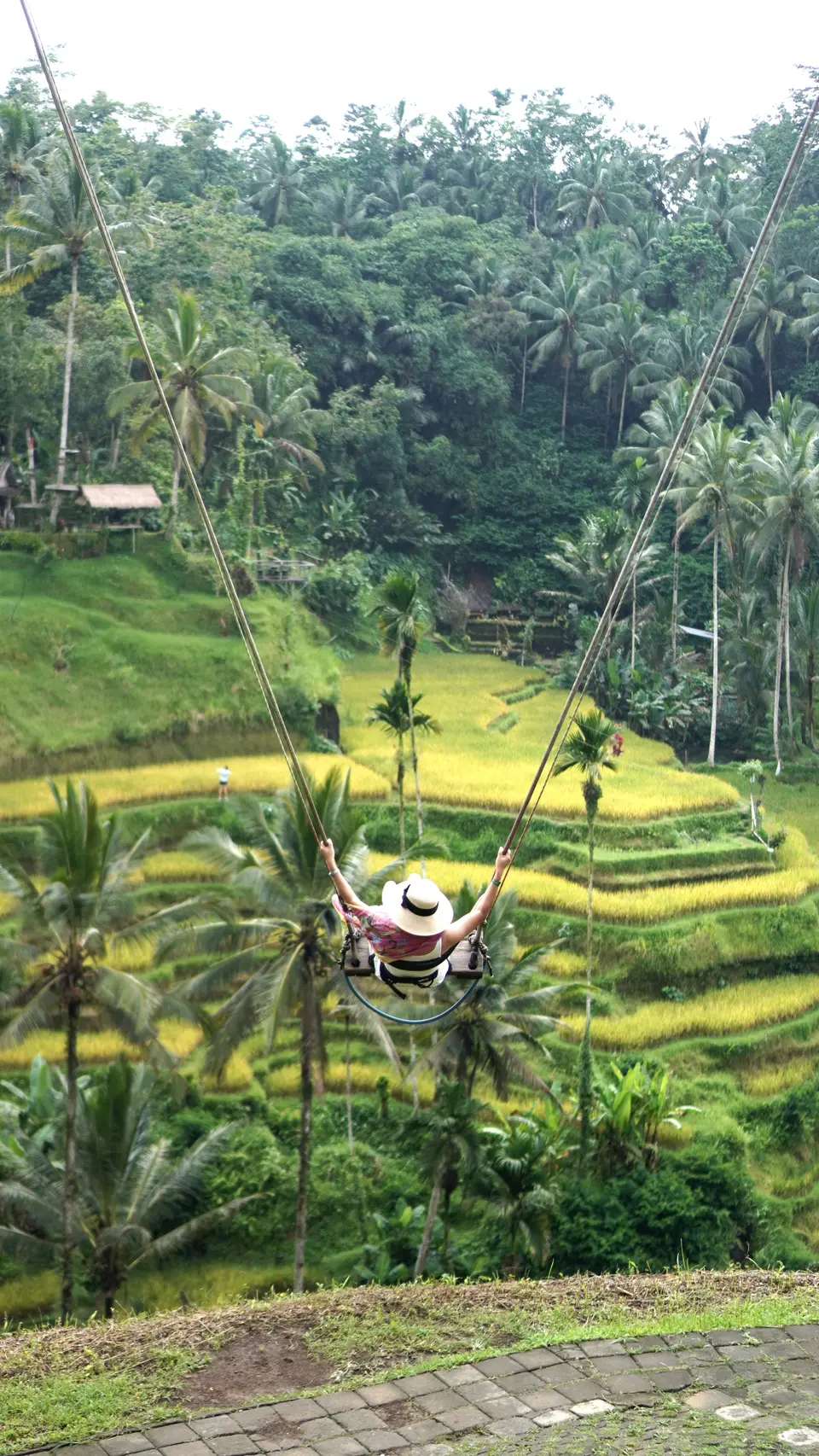 Bali Tour - Ubud